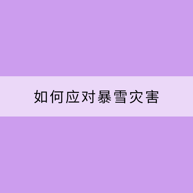 如何應對暴雪災害