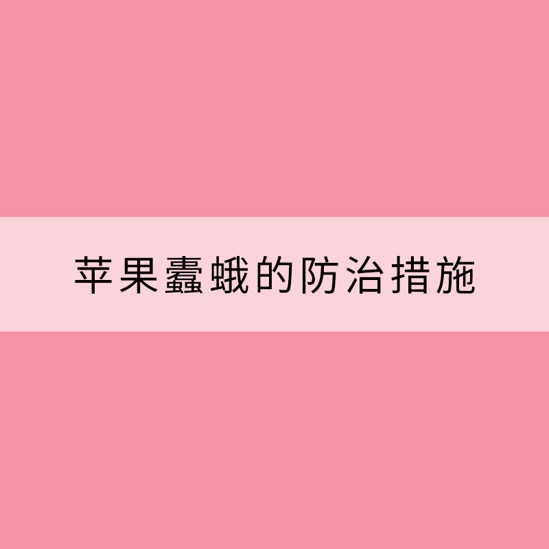 春末夏初蘋果蠹蛾的防治措施