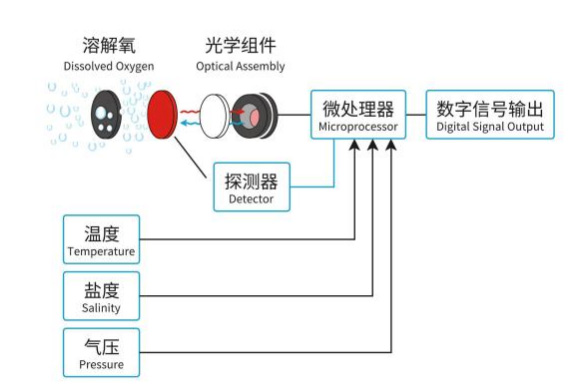 一體式熒光法溶氧傳感器